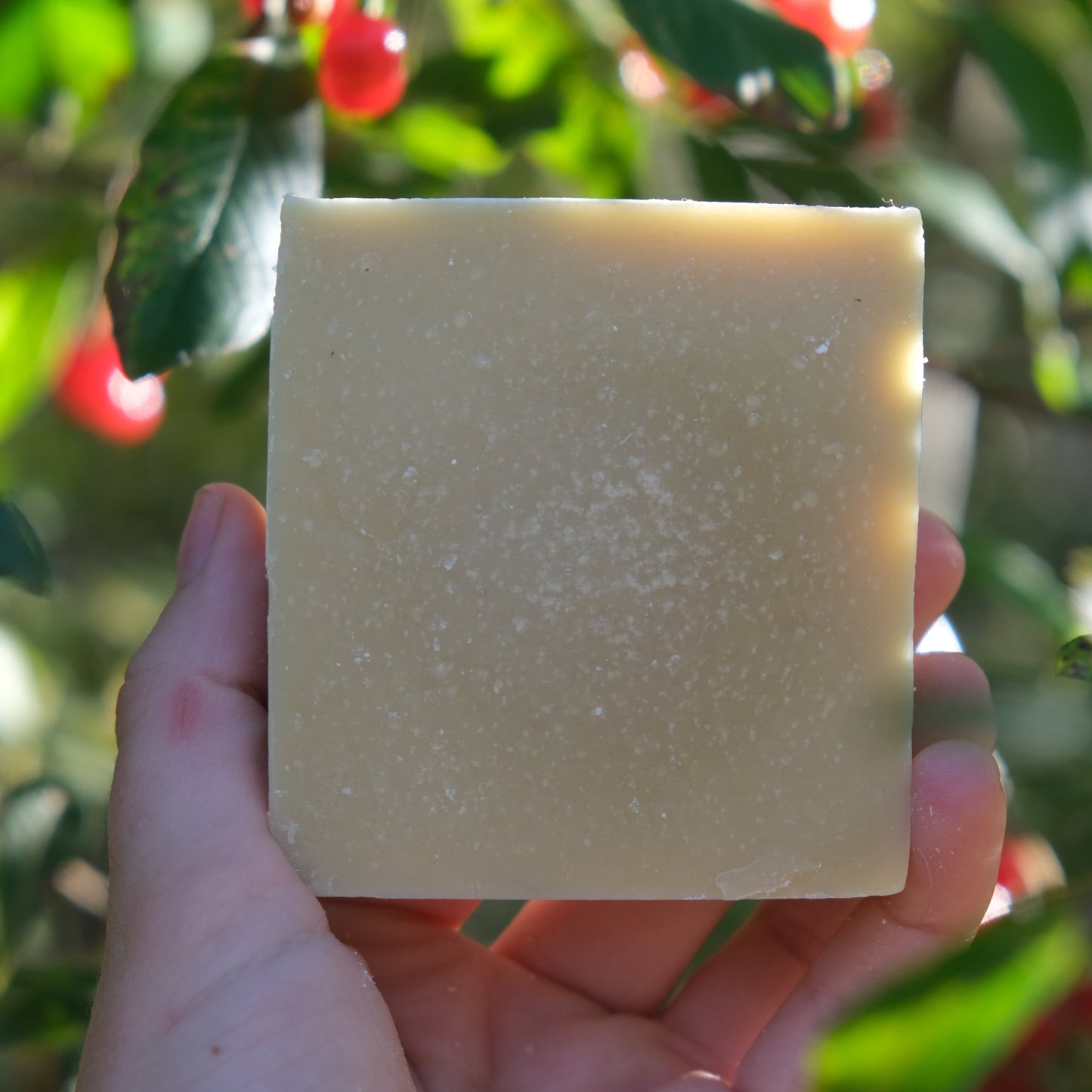 Tallow Soap