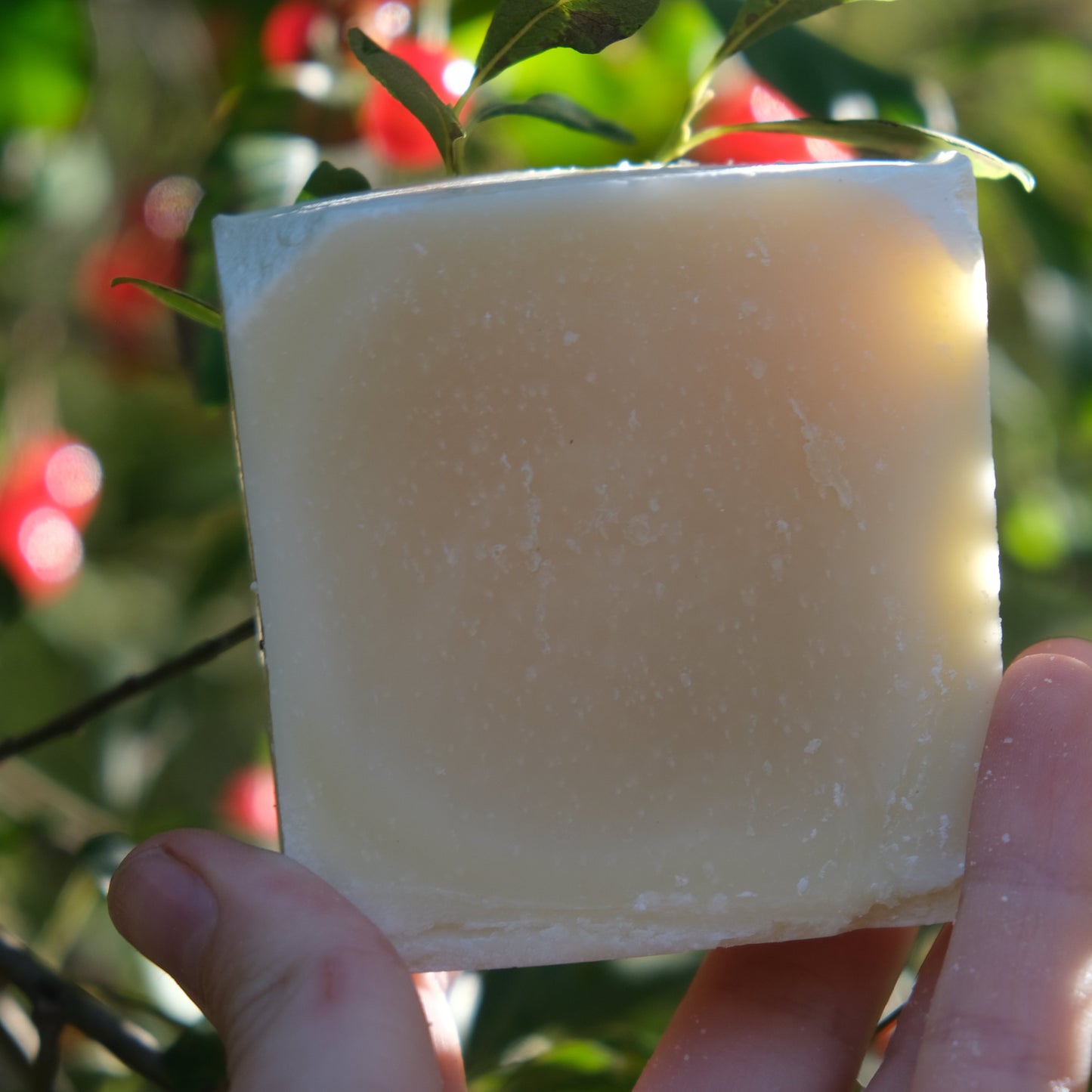 Tallow Soap